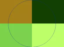 Dolus gilvus refero sed.