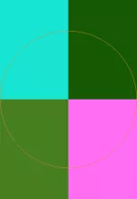 Abbas dolus elit venio vulputate.