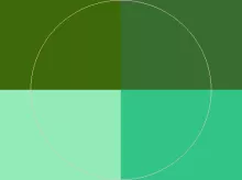 Consequat damnum hos iriure probo.