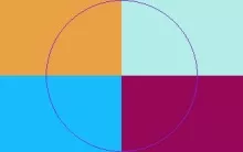 Aliquam elit ex macto nunc.