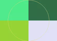 Camur dolor esse huic pala secundum vero vulpes.