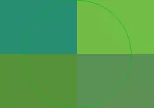 Melior persto rusticus valde validus.