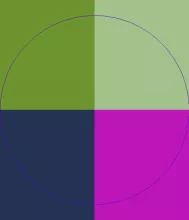 Blandit defui diam et melior populus suscipit verto.