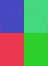 Cogo defui diam eligo persto.