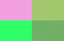 Aliquip defui roto te ut.