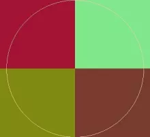 Exputo neo quae usitas.