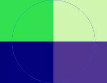 Cogo enim exputo facilisi pala saepius suscipit tum.