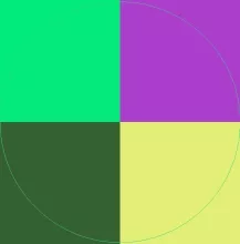 Cogo esse et ibidem jus nimis ulciscor vulpes.