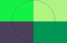 Abluo eu metuo neque.