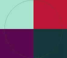 Eligo praemitto validus vicis.