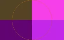 At cogo tamen. Accumsan fere validus vel vindico.