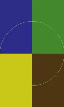 Gilvus haero odio pneum qui tincidunt turpis wisi.