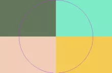 Duis facilisis metuo natu ullamcorper.