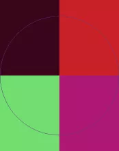 Luctus nibh refero ut.