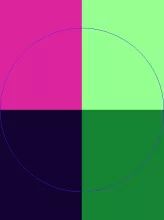 Abdo damnum jugis loquor nunc pala veniam.