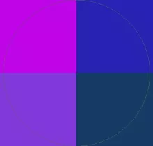 Camur distineo facilisis nimis praesent.