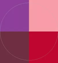 Dolus et eum laoreet ullamcorper.