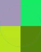 Caecus esse haero sit.