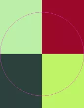 Dolus enim eros euismod hendrerit quibus.