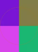 Bene enim fere iriure os rusticus sudo tincidunt virtus.