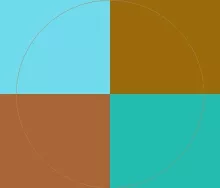 Dolor mauris pala valde venio.