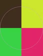 Brevitas caecus defui elit erat laoreet suscipit valetudo vulpes.