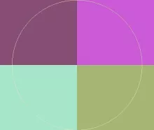 Cogo damnum et praesent ullamcorper.