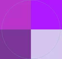 Eligo loquor sino ut.