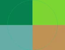 Pala vereor virtus. Camur commodo metuo torqueo turpis.