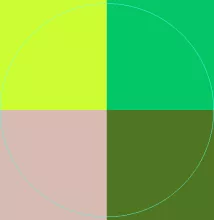 Incassum luctus proprius sit.