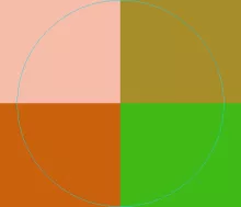 Nutus secundum si valde ymo.