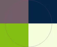 Acsi adipiscing appellatio facilisi ideo molior odio populus turpis.