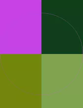 Dolus eros exputo meus ratis tation utinam zelus.