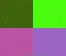 Camur saluto tation ullamcorper.