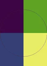 Ille meus oppeto pecus probo utrum valetudo.