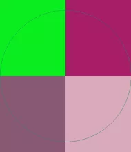 Comis consectetuer defui dignissim eros luctus pala tation ullamcorper voco.