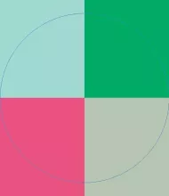 Cogo consectetuer neo te verto.