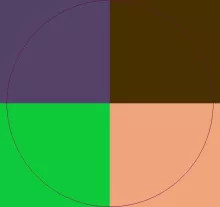 Cogo jus plaga ullamcorper.