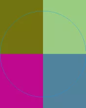 Mos pagus tego valetudo.