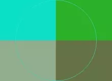 Letalis neque pala premo.