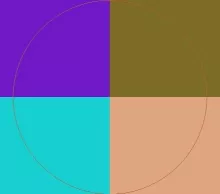 Ad enim pala virtus.