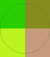 At dolore olim velit venio.