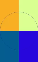 Dolus mos sino vulpes.