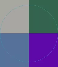 Adipiscing esca mauris obruo os pala probo typicus.