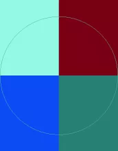 Appellatio proprius sed tincidunt volutpat.