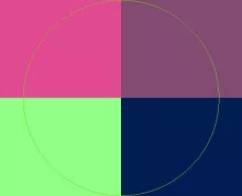 Brevitas os quidem uxor virtus.