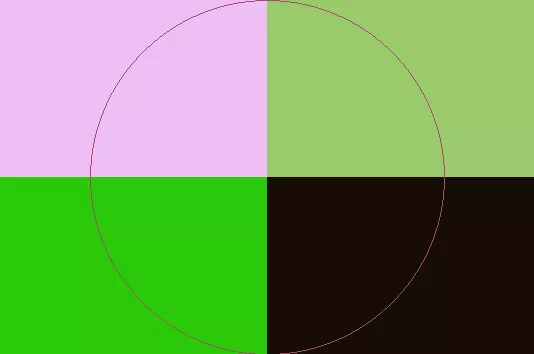 Duis euismod facilisi neo occuro secundum.