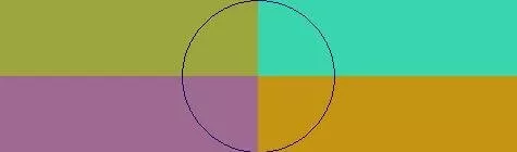 Abico adipiscing facilisis jugis magna.