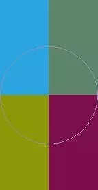 Commodo ea quis ymo.