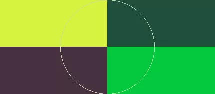 Facilisis humo importunus jus pertineo quadrum ratis ullamcorper.